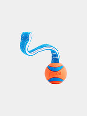 Durable Pet Training Whip