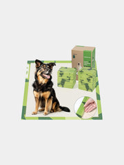 Pet Clicker Training Tool