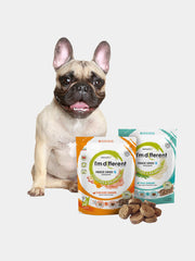 Mini Breed Dog Meals