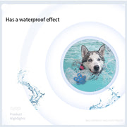 Pet invisible foot patch non-slip dog insole summer