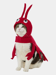 Pirate Style Pet Outfit