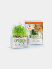 Organic Cat Grass Grow