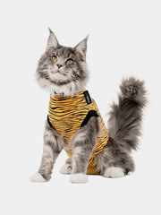 Plaid Shirt Pet Outfit