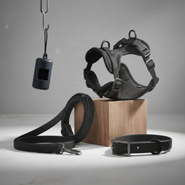 Comfort Paws Pet Harness Set