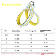 Dog Hand Holding Rope Walking Dog Lightweight Pet Harness