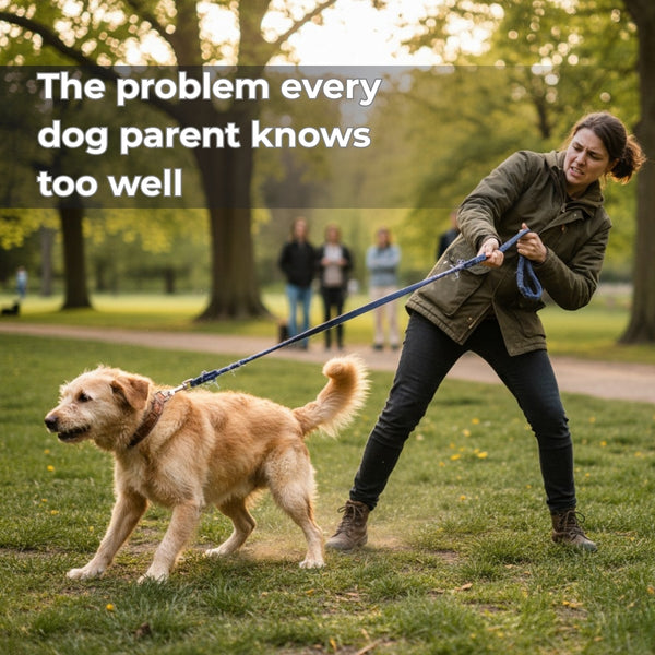 Comfort Paws Pet Harness Set