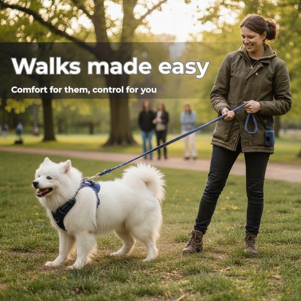 Comfort Paws Pet Harness Set