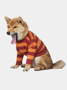 Tiger Style Pet Costume