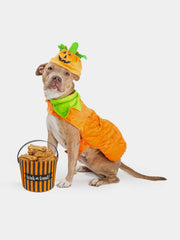 Tiger Style Pet Costume