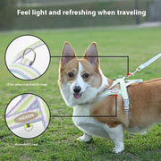 Dog Hand Holding Rope Walking Dog Lightweight Pet Harness